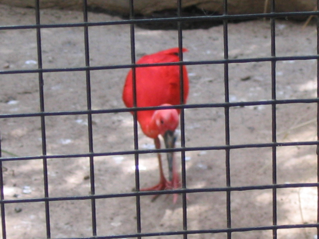 618x457 pixels (147K)